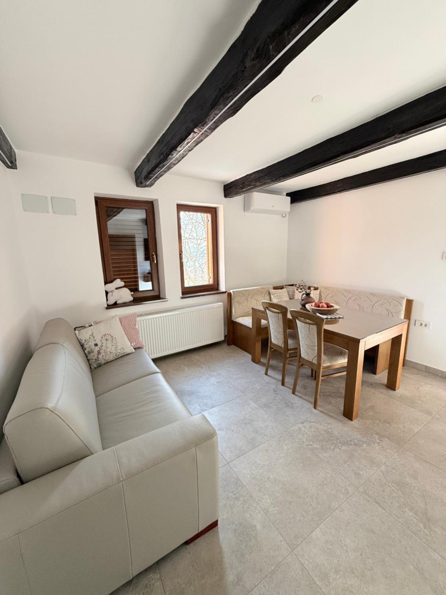 Holiday House David Podčetrtek Extérieur photo